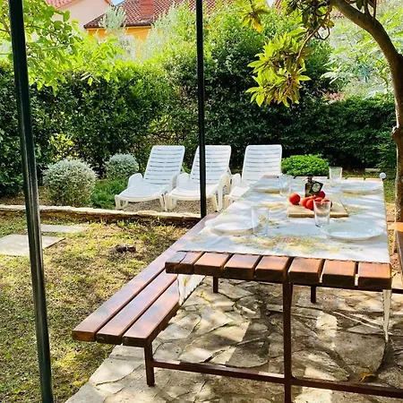 Apartment Bilini Garden