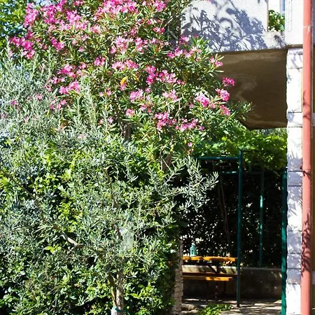 Apartment Bilini Garden Apartment