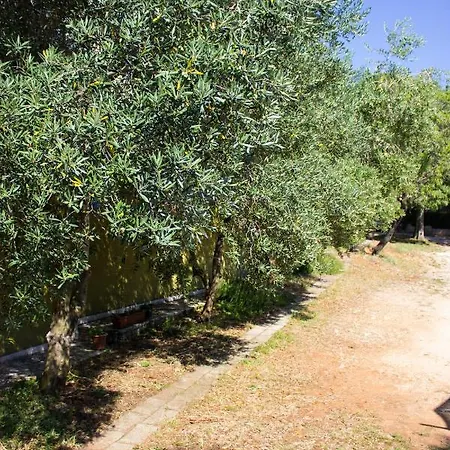 Bilini Garden Apartment Apartment