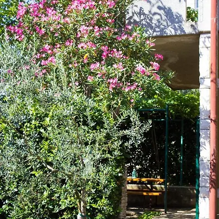 Apartament Bilini Garden